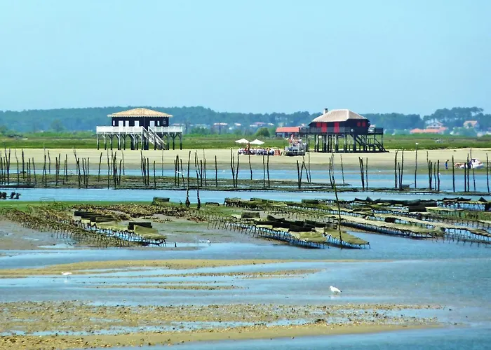 Calliope By Interhome *